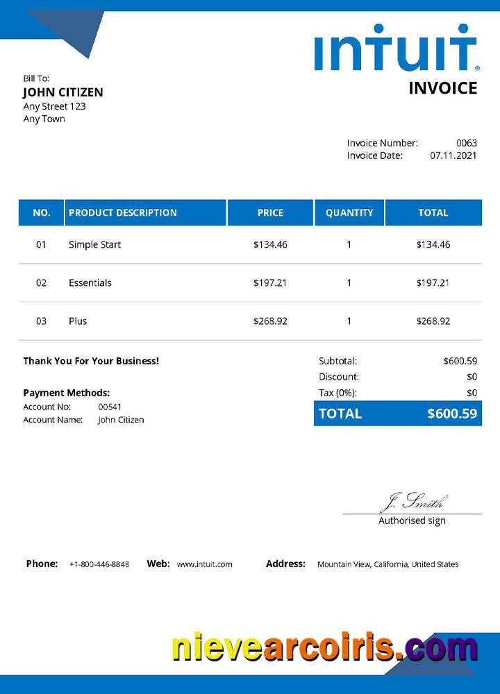 USA Intuit invoice